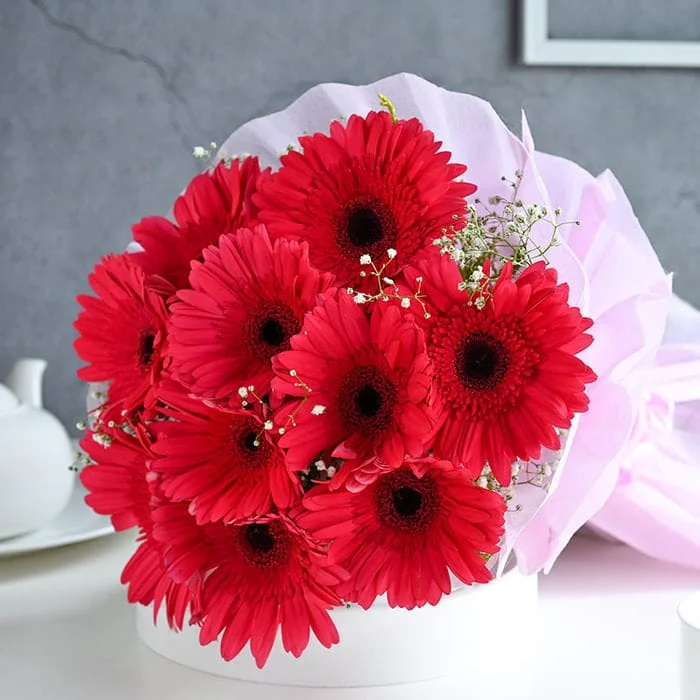 12 Gerberas Bouquet with white Gypso flowers – friflora